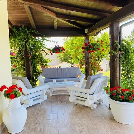 Chanel Garden Relaxation فورميلو