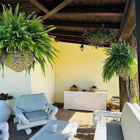 Villa Chanel Garden Relaxation