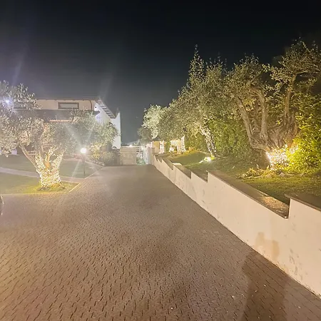 Villa Chanel Garden Relaxation